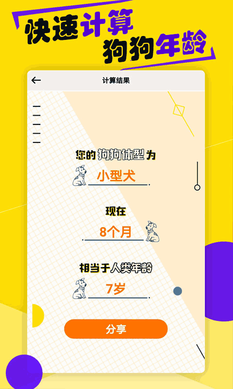 視頻素材大全截圖3